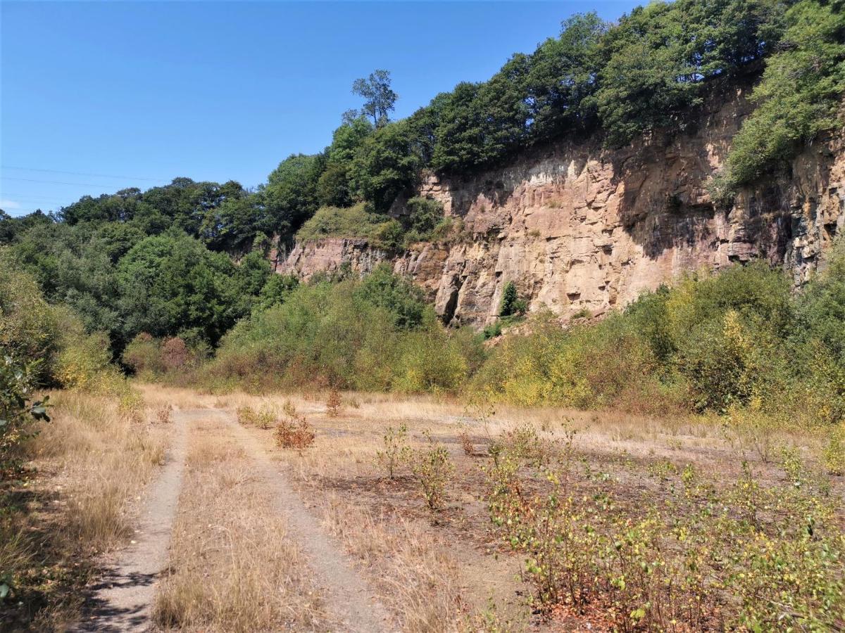 Domaine Lvd Avec Spa, Bois Et Riviere Privee La Bloutiere Buitenkant foto
