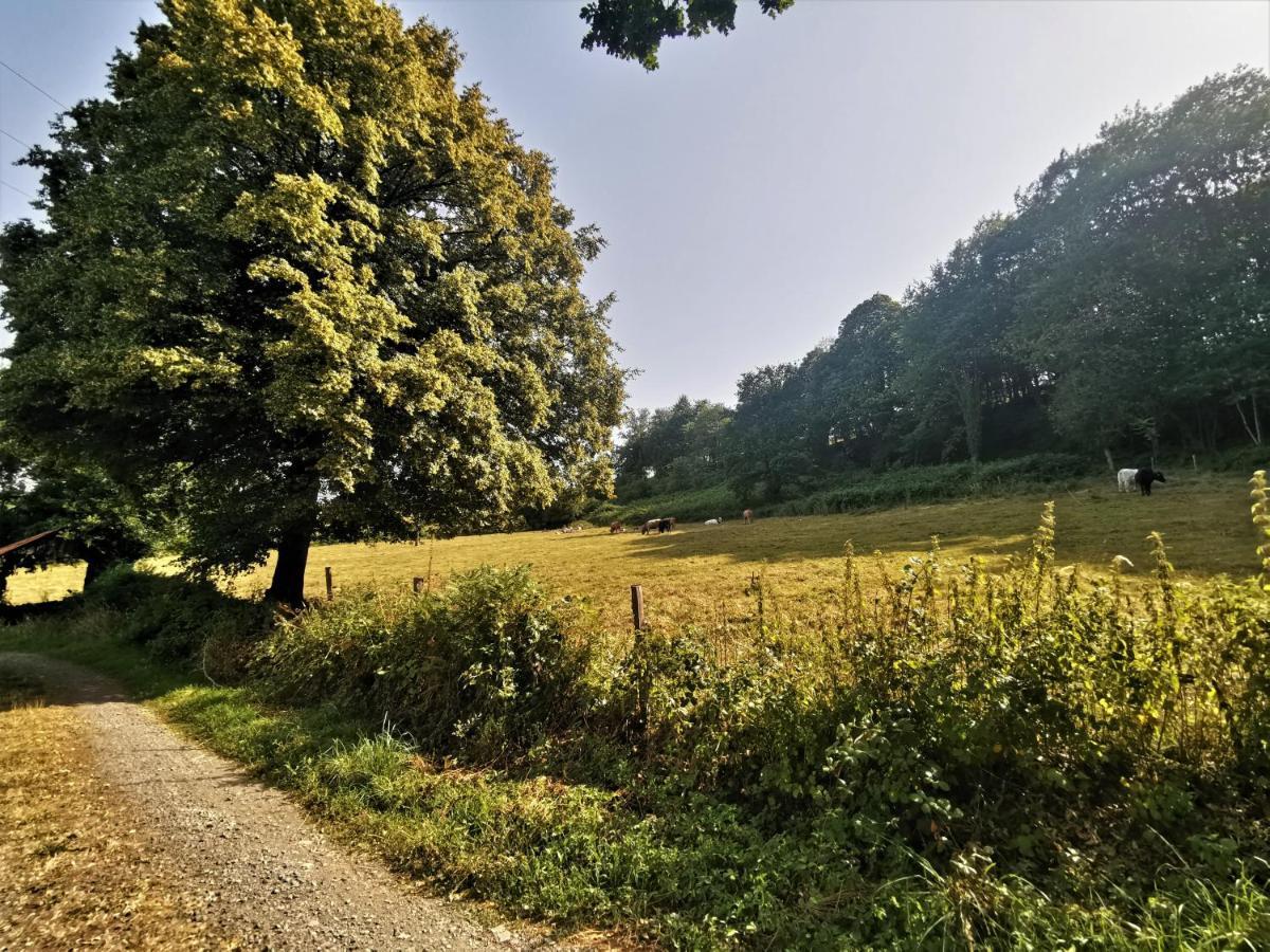 Domaine Lvd Avec Spa, Bois Et Riviere Privee La Bloutiere Buitenkant foto