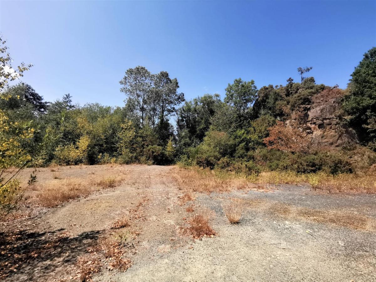 Domaine Lvd Avec Spa, Bois Et Riviere Privee La Bloutiere Buitenkant foto