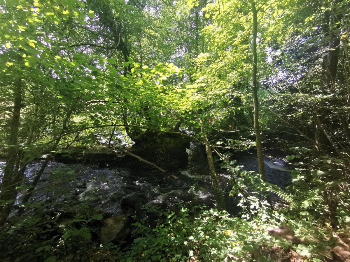 Domaine Lvd Avec Spa, Bois Et Riviere Privee La Bloutiere Buitenkant foto