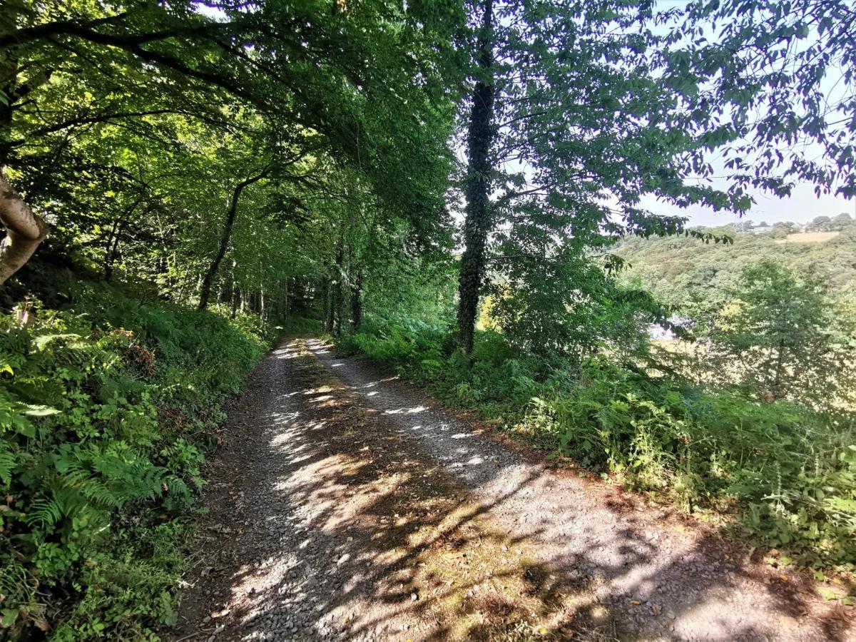 Domaine Lvd Avec Spa, Bois Et Riviere Privee La Bloutiere Buitenkant foto